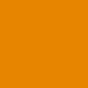 Apricot No.12