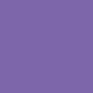 Iris No.133