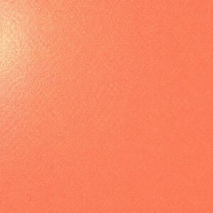 Salmon Sparkle No.162