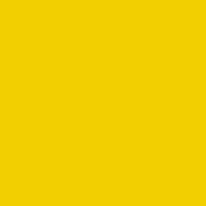 Sunflower No.17