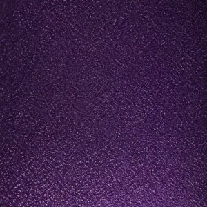 Aubergine No.2