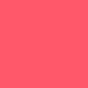Barbie Pink No.217