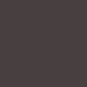 Taupe No.218
