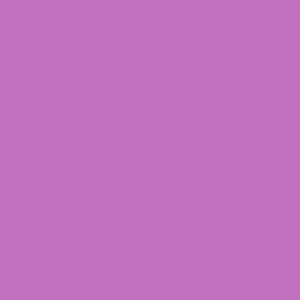 Orchid No.221