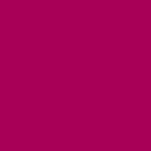 Fuchsia No.240