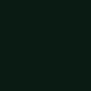 Christmas Green No.254