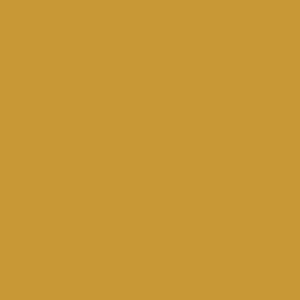Salted Caramel No.269