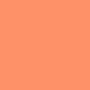 Neon Peach No.282