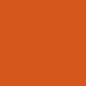 Pumpkin No.283