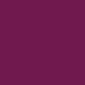 Raisin Purple No.295