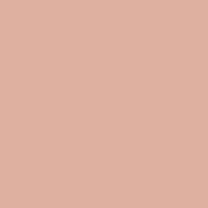 Powder Pink No.42